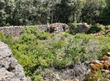 Excursión Senderismo Saint-Marc-Jaumegarde - les vegans.lili - Photo