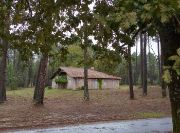 Trail Walking Moustey - Moustey Labouheyre  - Photo