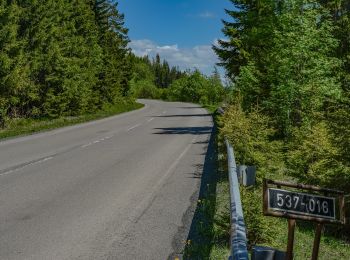 Tocht Te voet okres Poprad - Náučný chodník Rakytovské plieska - Photo