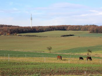 Tocht Te voet Sangerhausen - DE-Grüner Balken - Photo