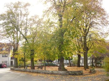 Trail On foot Landolfshausen - Rundwanderweg Waake - Dreieck - Photo