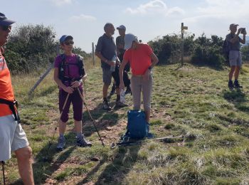 Excursión Senderismo Charnay-lès-Mâcon - Loché CLoisirs - Photo