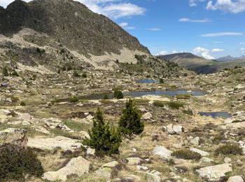 Trail sport - Grau rouge - Photo