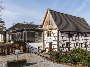 Trail On foot Wegberg - Rundweg A4 Tüschenbroicher Mühle - Photo