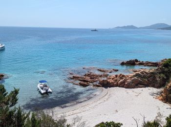 Trail Walking Porto-Vecchio - 2023-06-24 Marche Plage Santa Giulia vers Palombaggia - Photo