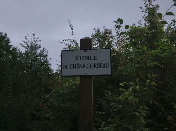 Trail Walking Saint-Germain-en-Laye - circuit MA 271019 - Photo