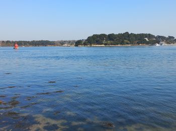 Excursión Senderismo Île-aux-Moines - Tour de l'île aux Moines - Photo