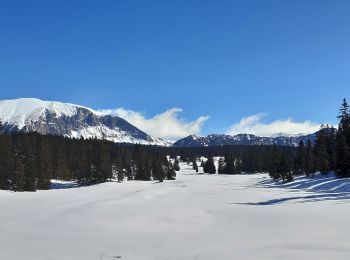 Tocht Stappen Saint-Agnan-en-Vercors - Les Hauts Plateaux du Vercors - Photo