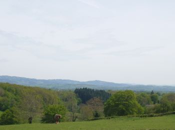 Randonnée Marche Saint-Julien-de-Jonzy - St Julien de Jonzy - Photo