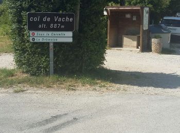 Randonnée Marche Volvent - col de la vache - praloubeau - sous la brèche et retour - Photo