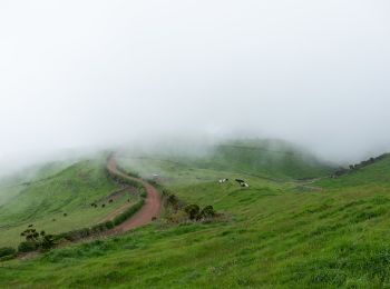 Percorso A piedi Ribeira Seca - Serra do Topo - Fajã dos Vimes - Photo