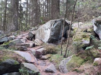 Randonnée Marche Lutzelhouse - Rocher de Mutzig à partir du Schliffstein. - Photo