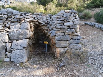 Tour Wandern Évenos - Le broussan croupatier fin randonnée  - Photo