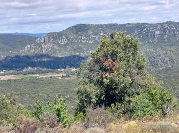 Tour Wandern Cabrières - Pic de Viss - Photo