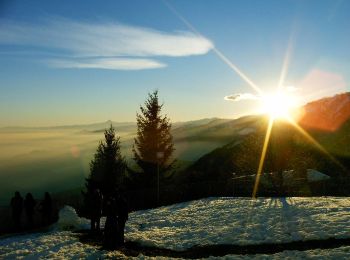 Trail On foot Colleretto Castelnuovo - ETON9150000 - Photo