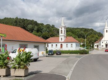 Trail On foot Gemeinde Mariasdorf - Grodnau - Braunriegel - Kalkgraben - Schartenäcker - Photo