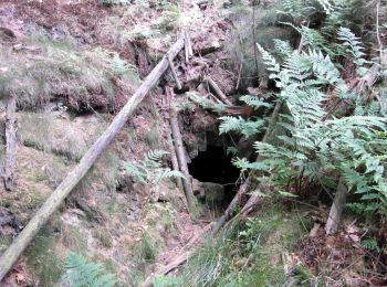 Randonnée A pied Wennigsen (Deister) - Hüttenwanderung im Deister - Photo