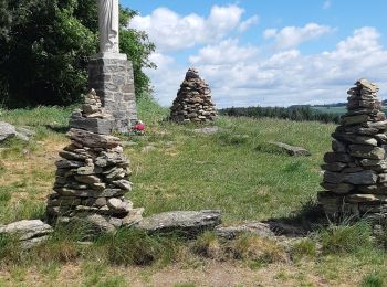 Tour Wandern Salles-Curan - la vierge des lacs - Photo