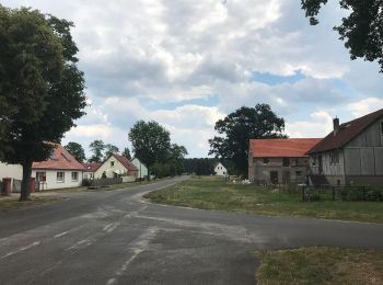 Tour Zu Fuß Münchehofe - Wanderweg ...-Märkisch Buchholz - Photo