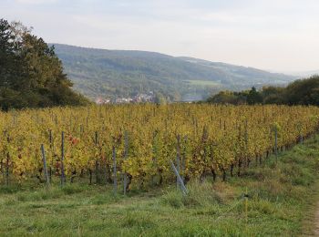 Randonnée Marche Novéant-sur-Moselle - noveant dorny - Photo