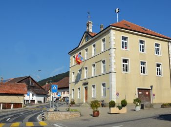 Percorso A piedi Plateau de Diesse - Lamboing - Pt 1290 - Photo