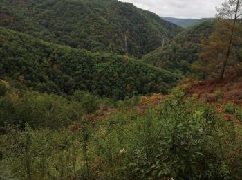 Tour Wandern Soursac - Fred les roches noires - Photo