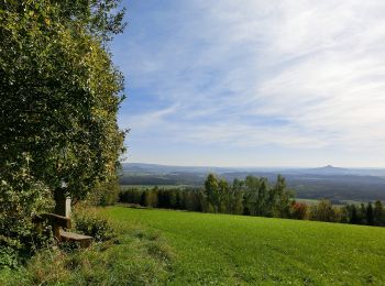 Randonnée A pied Kirchenpingarten - Speichersdorf Rundwanderweg Nr. 8 