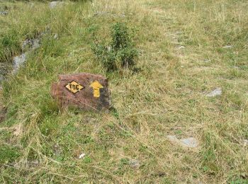 Trail On foot Doues - (SI F12) Rifugio Champillon - Rey - Photo