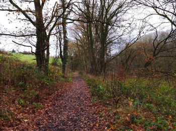 Randonnée Marche Flémalle - La vallée du ruisseau des Awirs   - Photo