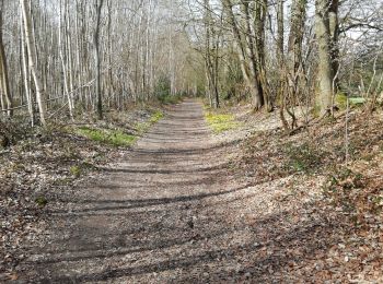 Tour Wandern Bernay - bois de Champeaux 1 - Photo