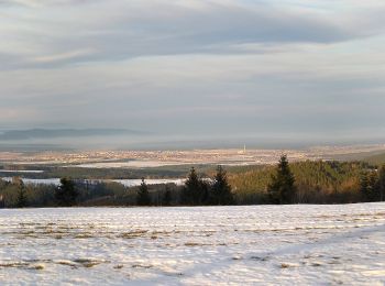 Trail On foot Gemeinde Kirchberg am Wechsel - Kirchberg - Kirchgraben - Hasleiten - Ödenkirchen - Photo