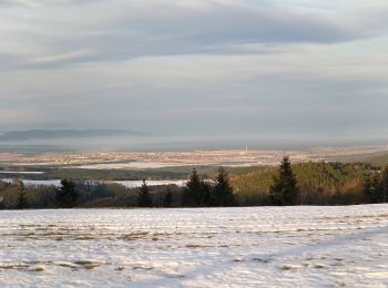 Tocht Te voet Gemeinde Kirchberg am Wechsel - Kirchberg - Kirchgraben - Hasleiten - Ödenkirchen - Photo