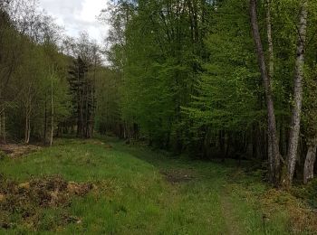Percorso Equitazione Viroinval - Oignies / le Mesnil par Nobertins 100621 - Photo