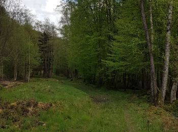 Randonnée Randonnée équestre Viroinval - Oignies / le Mesnil par Nobertins 100621 - Photo