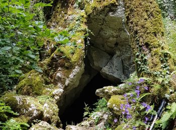 Trail Walking Montfleur - Monfleur-Bourcia-Nivigne-H - Photo