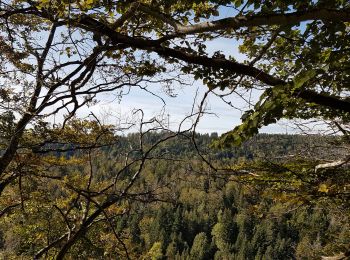 Tour Wandern Charix - Tour du mont Burdet - Photo