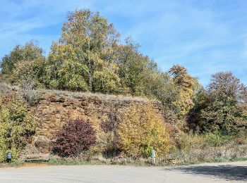 Randonnée A pied Volmerange-les-Mines - Club Vosgiens Sentier de la Minette - Volmerange - Dudelange - Photo