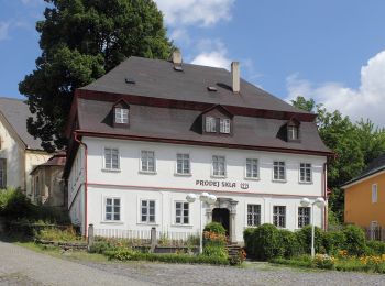 Percorso A piedi Chřibská - [M] Chřibská - Rybniště (žst) - Photo