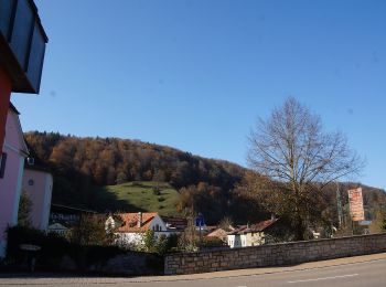 Tour Zu Fuß Solnhofen - Teufel trifft Apostel - Photo