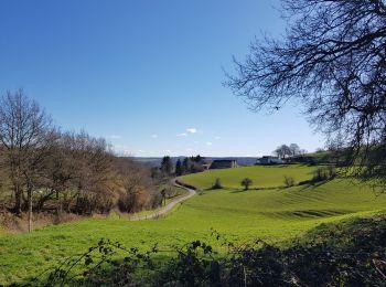 Randonnée Marche Pepinster - Soiron n°2 - Tribomont - Wegnez - Photo