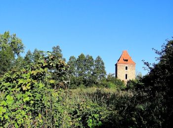 Percorso A piedi  - Szlak pieszy żółty - Photo