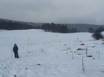 Tocht Stappen Mijoux - balade jura - Photo