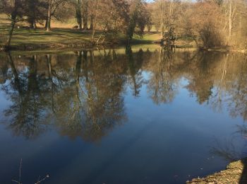 Tocht Stappen Ars-sur-Formans - Ars-s-formans (Cibeins) - Photo