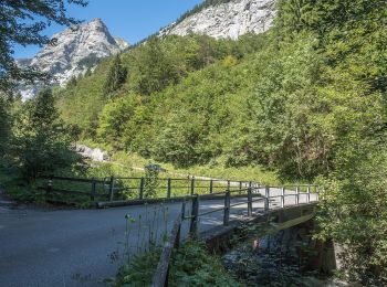 Trail On foot Pfäfers - Brugg-Staumauer Gigerwald - Photo