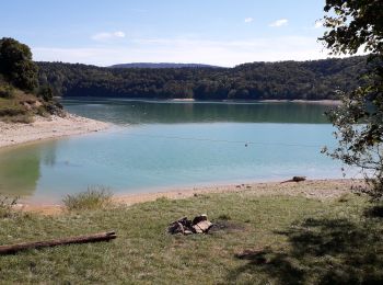 Excursión Senderismo La Tour-du-Meix - Pont de la Pyle -plage de Bellecin  - Photo