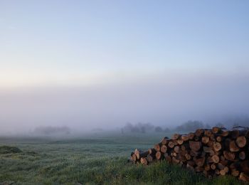 Tour Zu Fuß Tarnawa Niżna - Ścieżka przyrodniczo-historyczna 