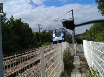 Randonnée Marche Poses - les damps poses par pont sncf du manoir - Photo