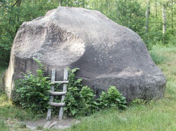 Tocht Te voet Gołuchów - Gołuchów - Jedlec - Photo