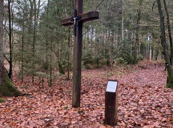 Excursión Senderismo Saint-Léger - Chemin des croix - Photo