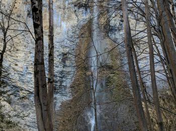 Tocht Mountainbike Innimond - innimond cascade du Luizet AR - Photo